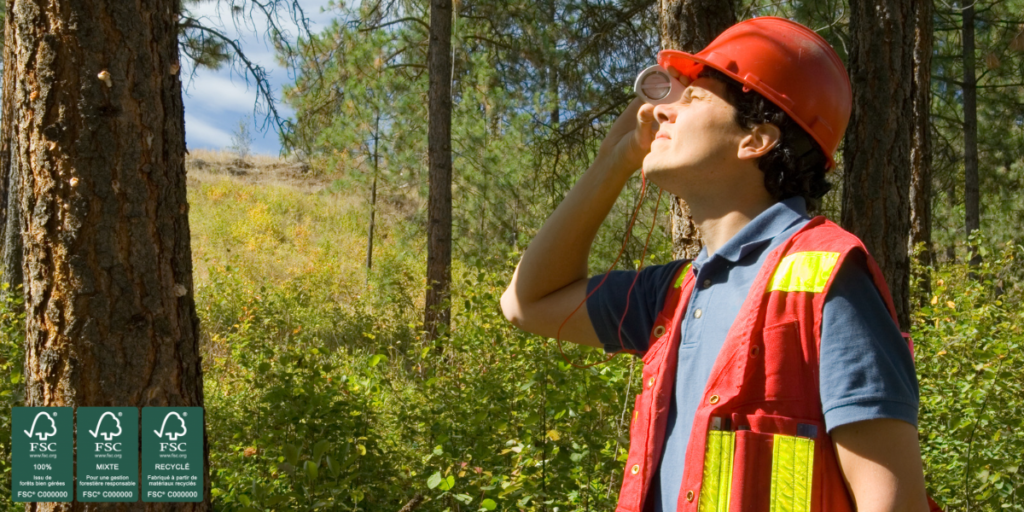 Travailleur du bois qui observe minutieusement un arbre labellisé FSC