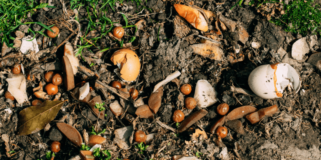 Plusieurs déchet organique en décomposition, compost