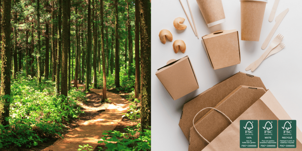 Chemin de forêt et emballages alimentaires éco-responsables certifiés FSC