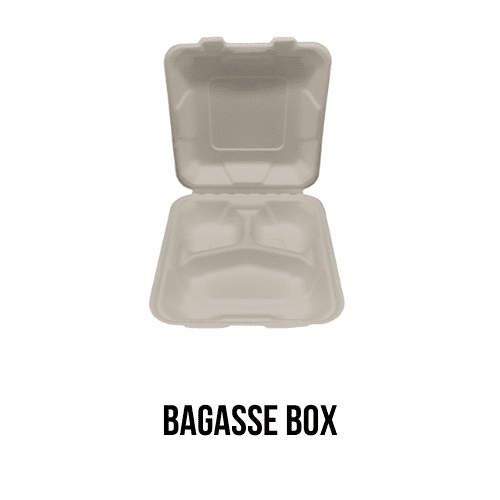 Ecological-Bagasse-Box-Wasteless-Group